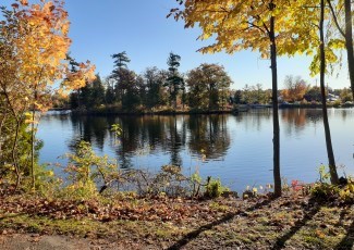 Fall View over a River