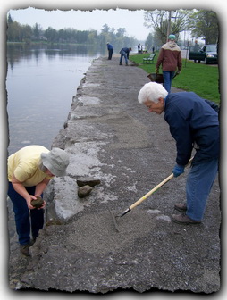 Photo of people maintaining the Lakefield Trail along the waterfront