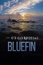 bluefin book cover