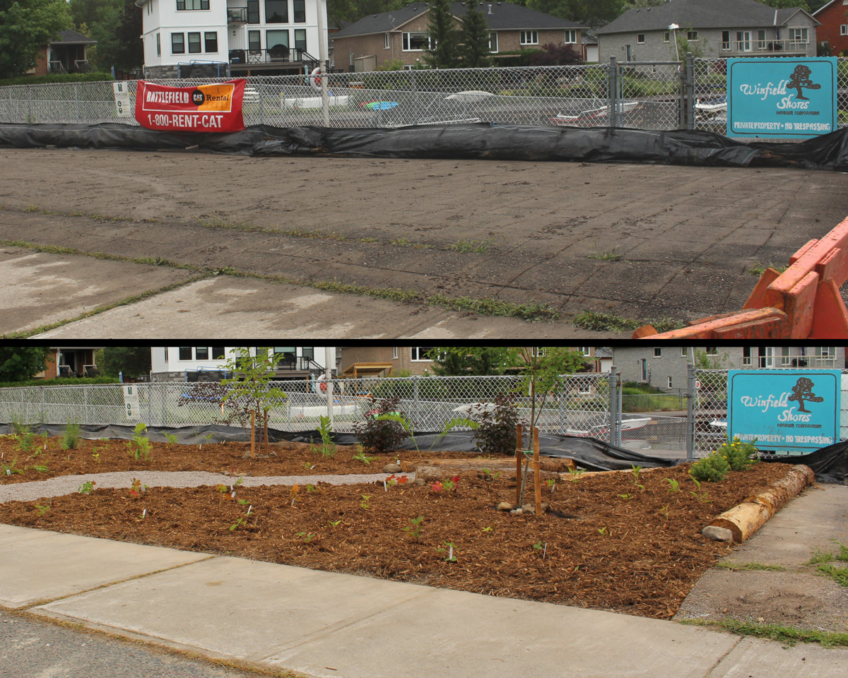 Before and after photo of Depave Paradise project in Lakefield