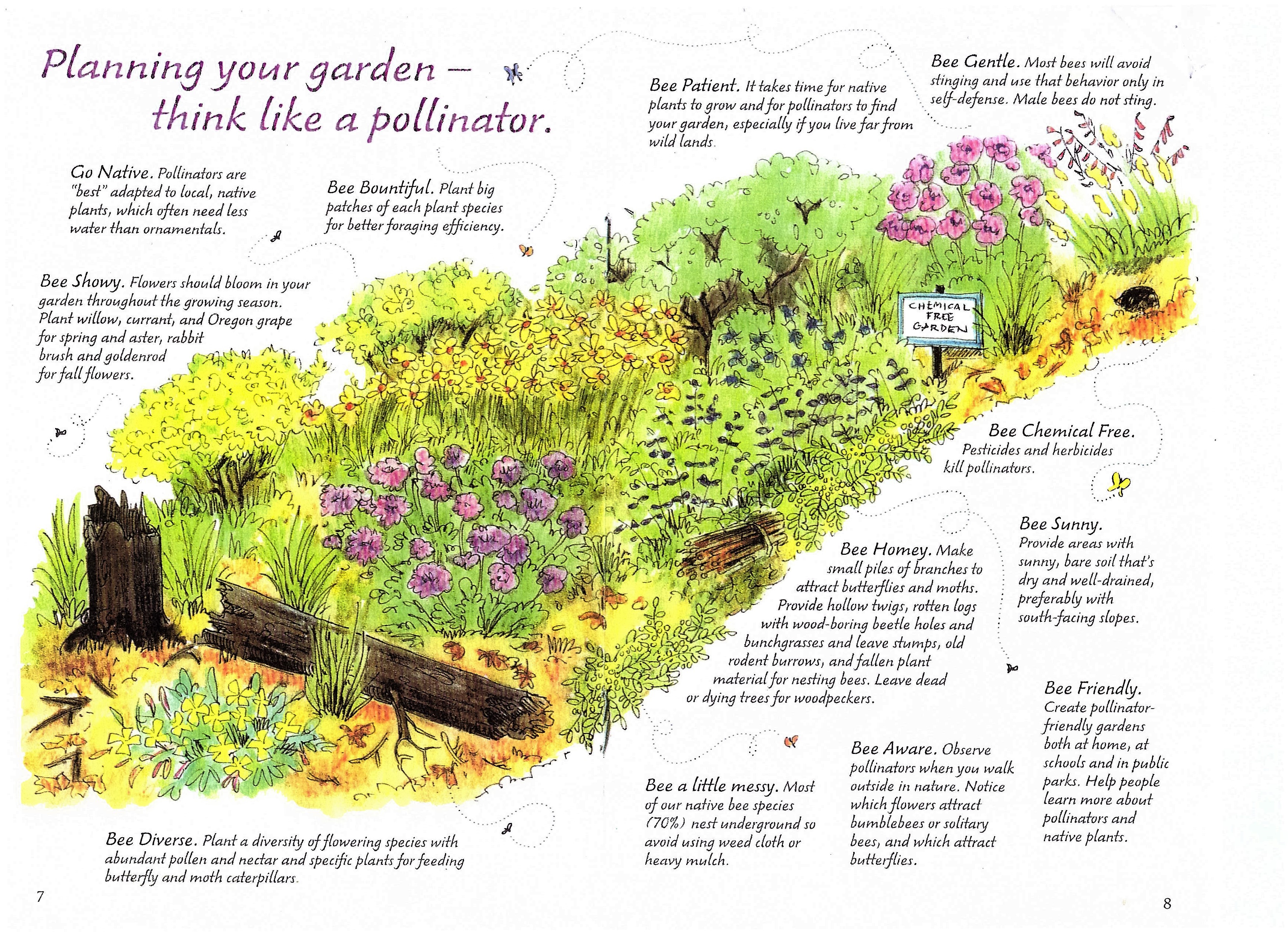 Illustration of a pollinator garden